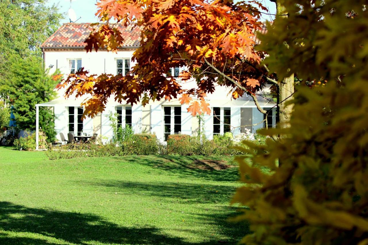 Edera Rossa Bed and Breakfast Treviso Exteriör bild